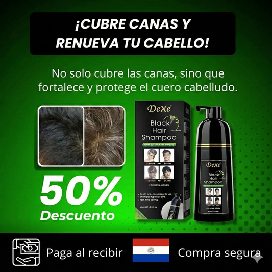 SHAMPOO TINTE NEGRO ANTICANAS NATURAL 3 EN 1 500 ML